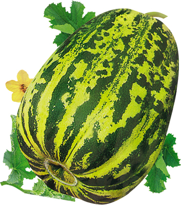 虎皮脆