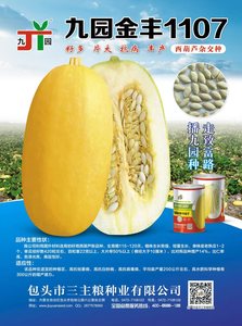 九园金主1107