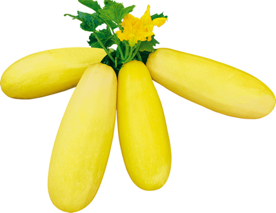 九园金丰88(升级版)