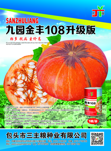 九同金主108升级版