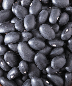 大粒黑豆
