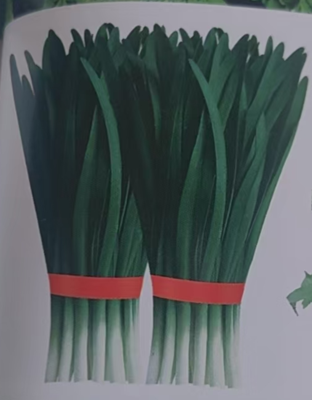 韭菜